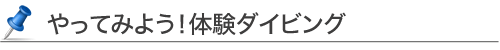 やってみよう！